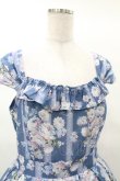 画像4: Forest Wardrobe（海外ロリータブランド） / 森林のかご3.0 花柄ワンピースセット XL ばら柄（ブルー） H-25-03-16-032-0-OP-NS-ZH (4)