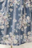 画像5: Forest Wardrobe（海外ロリータブランド） / 森林のかご3.0 花柄ワンピースセット XL ばら柄（ブルー） H-25-03-16-032-0-OP-NS-ZH (5)