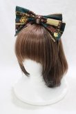 画像1: Angelic Pretty / Chocolate Rosetteカチューシャ  グリーン H-25-03-16-1074-AP-AC-NS-ZH (1)