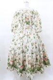 画像2: ANGELIQUE ROSA / ローズプリントロングワンピース Free オフ H-25-03-16-029-LO-OP-NS-ZH (2)