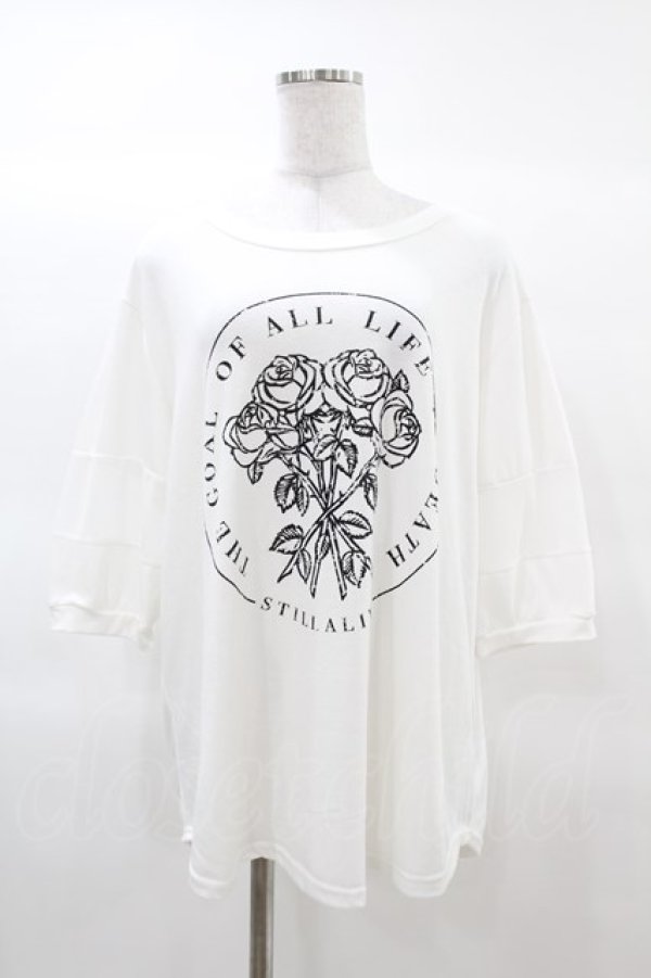 画像1: HELL CAT PUNKS / ローズプリントメッシュ切替カットソー  白 H-25-03-17-1044-PU-TO-KB-ZH (1)