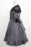 画像2: Amavel / Blooming Frill ワンピース Free グレー H-25-03-20-012-CA-OP-NS-ZH (2)