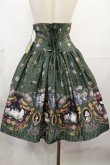 画像3: ALICE and the PIRATES / Dual face 〜phantom and truth〜柄スカート Free グリーン H-25-03-21-1005-PA-SK-NS-ZH (3)