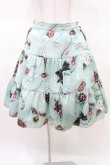 画像1: MILK / ショコラローズスカート  ミントチョコ H-25-03-22-1011-ML-SK-KB-ZH (1)
