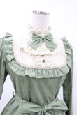 画像4: Victorian maiden / Jewelryクラシカルドールロングドレス (プラスサイズ) プラスサイズ ペリドット H-25-03-25-1029-CL-OP-NS-ZH (4)