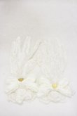 画像1: Angelic Pretty / Heartレース手袋  オフ H-25-03-29-1012-AP-ZA-NS-ZH (1)