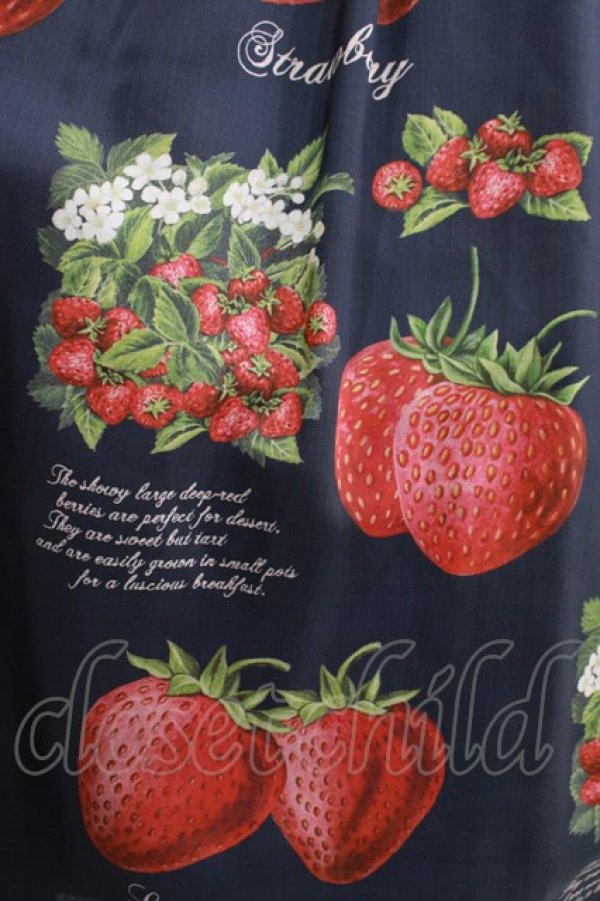 画像4: Leur Getter / Strawberry Garden袖付きワンピース  ネイビー H-25-03-29-002-LU-OP-KB-ZH (4)
