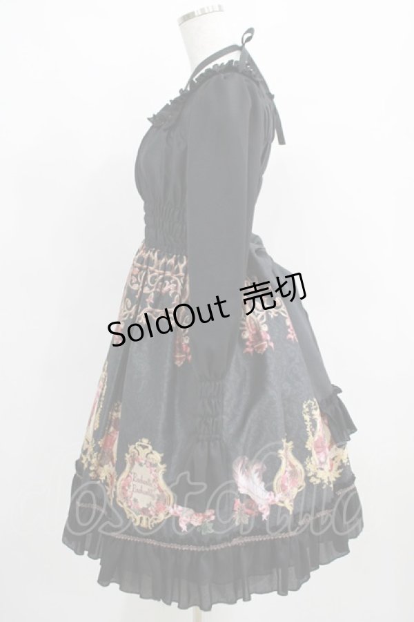 画像2: Enchantlic Enchantilly / Queen Catのエレガントスリーブなワンピース Free ブラック H-25-03-30-005-LO-OP-NS-ZH (2)