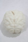 画像1: THE BLACKENED TEETH / Brain Candle  WHT H-25-03-30-1041-PU-ZA-KB-ZH (1)