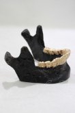 画像2: THE BLACKENED TEETH / JAW CARD HOLDER  BLKGMGLD H-25-03-30-1044-PU-ZA-KB-ZH (2)