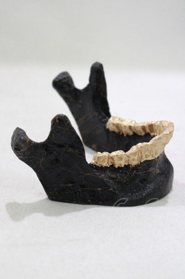 画像2: THE BLACKENED TEETH / JAW CARD HOLDER  BLKGMGLD H-25-03-30-1044-PU-ZA-KB-ZH (2)