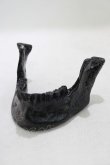 画像1: THE BLACKENED TEETH / JAW CARD HOLDER  BLKGM H-25-03-30-1046-PU-ZA-KB-ZH (1)