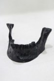 画像1: THE BLACKENED TEETH / JAW CARD HOLDER  BLK H-25-03-30-1047-PU-ZA-KB-ZH (1)
