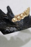 画像3: THE BLACKENED TEETH / JAW CARD HOLDER  BLKGMGLD H-25-03-30-1050-PU-ZA-KB-ZH (3)