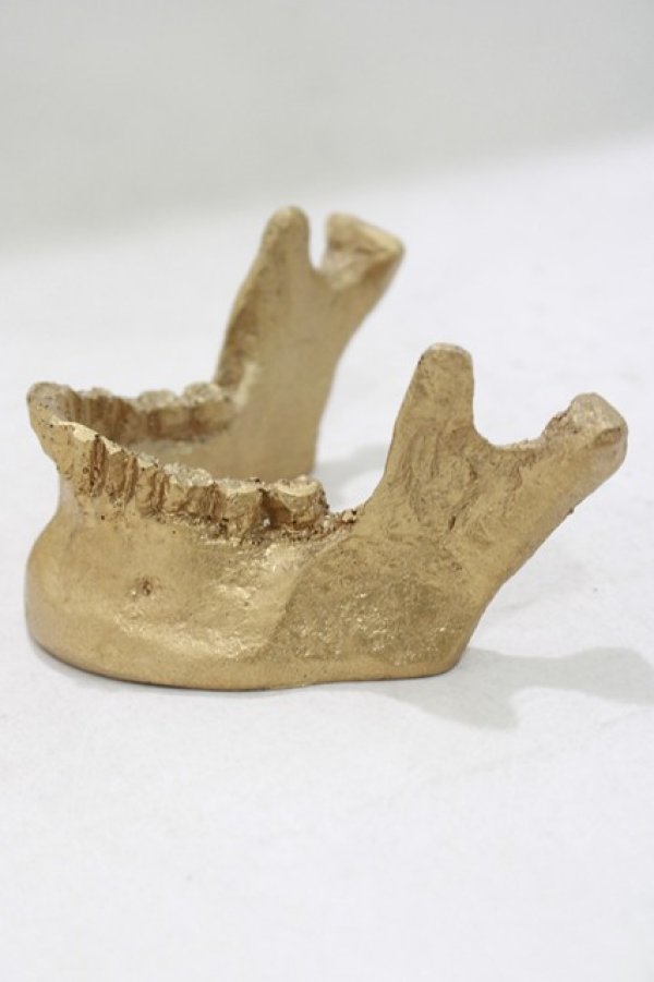 画像2: THE BLACKENED TEETH / JAW CARD HOLDER  GLD H-25-03-30-1051-PU-ZA-KB-ZT-W004 (2)