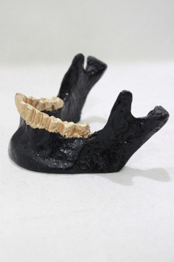 画像2: THE BLACKENED TEETH / JAW CARD HOLDER  BLKGMGLD H-25-03-30-1052-PU-ZA-KB-ZH (2)
