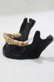 画像2: THE BLACKENED TEETH / JAW CARD HOLDER  BLKGMGLD H-25-03-30-1053-PU-ZA-KB-ZH (2)