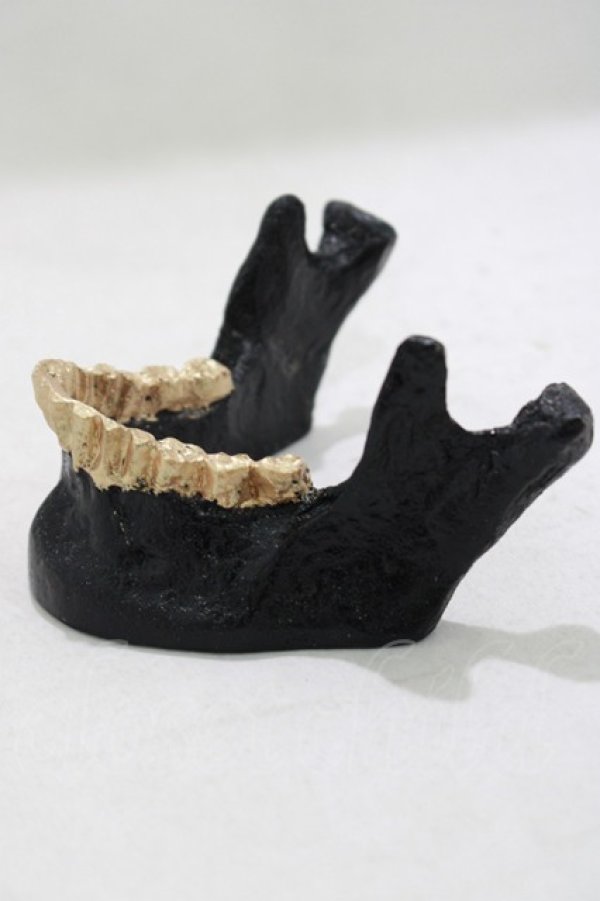 画像2: THE BLACKENED TEETH / JAW CARD HOLDER  BLKGMGLD H-25-03-30-1053-PU-ZA-KB-ZH (2)