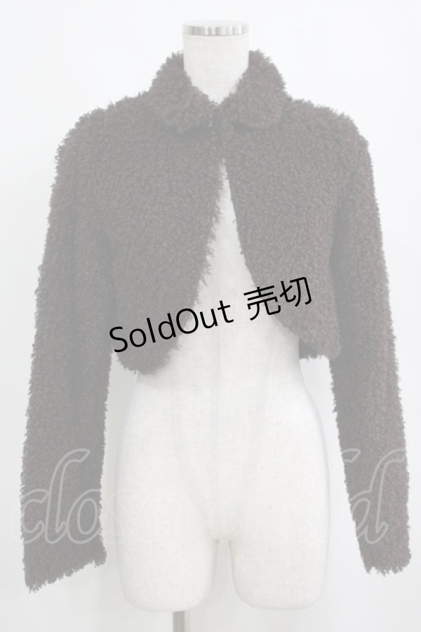 画像1: EXCENTRIQUE / Diddle Diddleボレロ  ブラウン H-25-03-30-1011-EL-JA-KB-ZT104 (1)