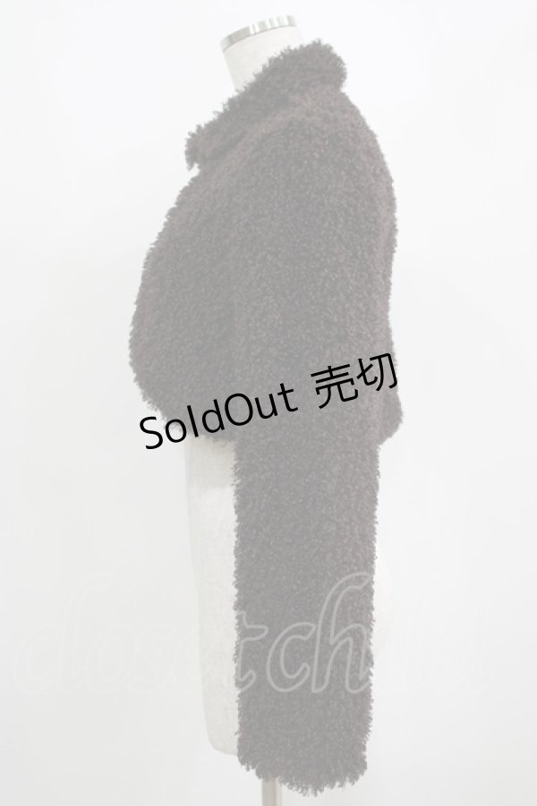 画像2: EXCENTRIQUE / Diddle Diddleボレロ  ブラウン H-25-03-30-1011-EL-JA-KB-ZT104 (2)