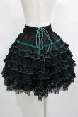 画像3: Ozz oneste / 薔薇刺繍レースフリルスカート  黒×緑 H-25-03-30-1012-OO-SK-KB-ZH (3)