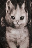 画像4: Juliette et Justine / Secret de chat Robe〜スクレ ドゥ シャ ローブ〜 サイズ1 ブラック H-25-03-30-014-CL-OP-NS-ZH (4)