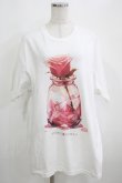 画像1: NieR Clothing / プリントCOTTON CUTSEW XL 白 H-25-03-31-071-PU-TO-KB-ZH (1)