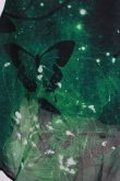画像5: NieR Clothing / GREEN BUTTERFLY SHEER SKIRT  グリーン H-25-03-31-013-PU-SK-KB-ZH (5)