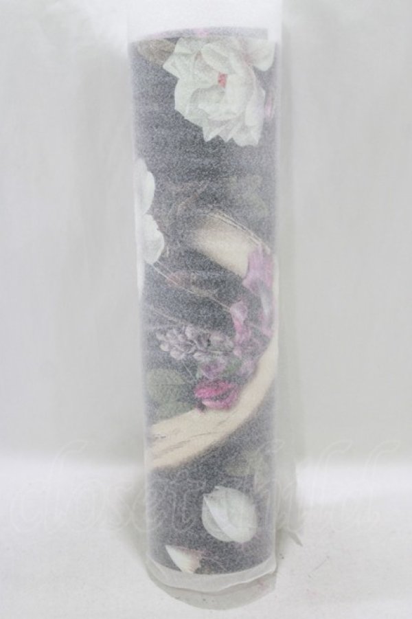 画像1: THE BLACKENED TEETH /OOMING REMAINSアートプリント A2  H-25-04-01-041-PU-ZA-KB-ZH (1)