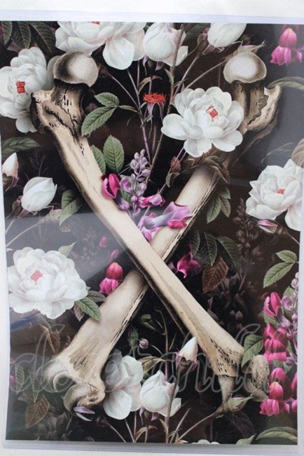 画像2: THE BLACKENED TEETH /OOMING REMAINSアートプリント A2  H-25-04-01-041-PU-ZA-KB-ZH (2)