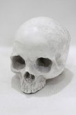 画像1: THE BLACKENED TEETH / Skull of J.Doe Plinthオーナメント   H-25-04-01-045-PU-ZA-KB-ZH (1)