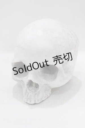 画像: THE BLACKENED TEETH / Skull of J.Doe Plinthオーナメント   H-25-04-01-045-PU-ZA-KB-ZH
