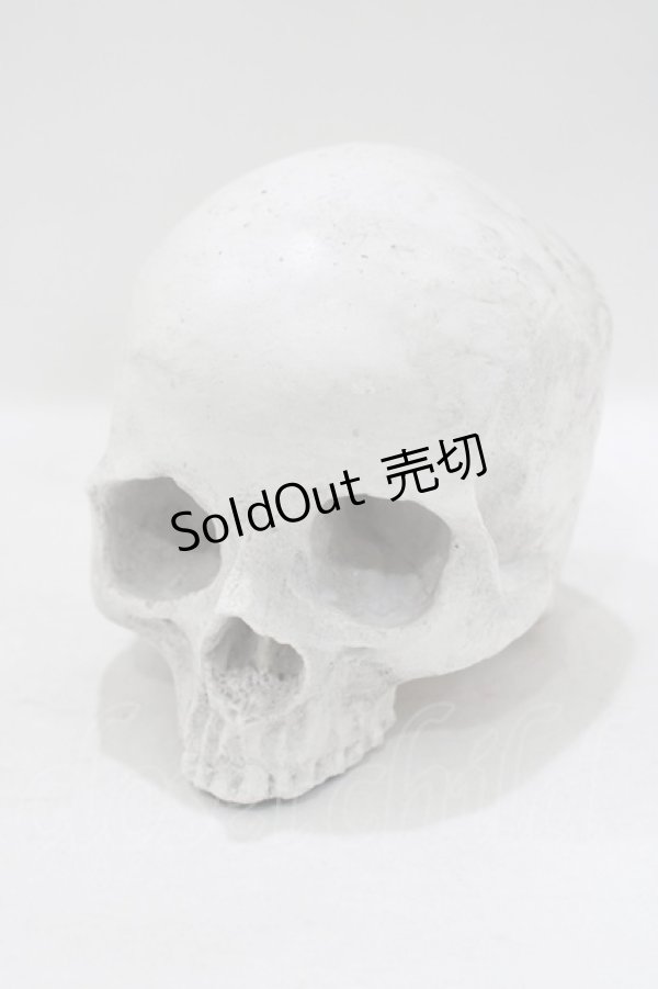 画像1: THE BLACKENED TEETH / Skull of J.Doe Plinthオーナメント   H-25-04-01-045-PU-ZA-KB-ZH (1)