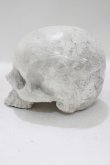 画像2: THE BLACKENED TEETH / Skull of J.Doe Plinthオーナメント   H-25-04-01-045-PU-ZA-KB-ZH (2)
