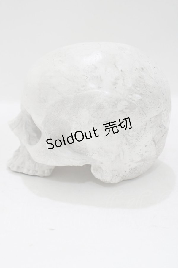画像2: THE BLACKENED TEETH / Skull of J.Doe Plinthオーナメント   H-25-04-01-045-PU-ZA-KB-ZH (2)