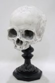 画像1: THE BLACKENED TEETH / Skull of J.Doeオーナメント   H-25-04-01-046-PU-ZA-KB-ZH (1)