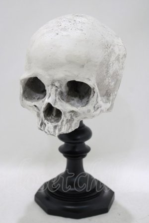 画像: THE BLACKENED TEETH / Skull of J.Doeオーナメント   H-25-04-01-046-PU-ZA-KB-ZH