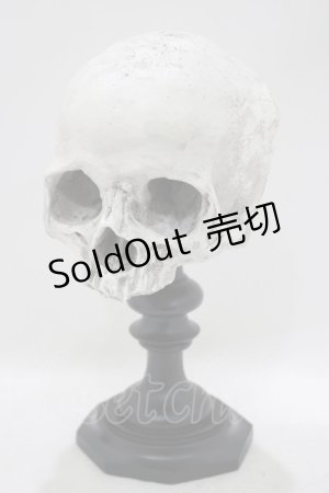 画像: THE BLACKENED TEETH / Skull of J.Doeオーナメント   H-25-04-01-046-PU-ZA-KB-ZH