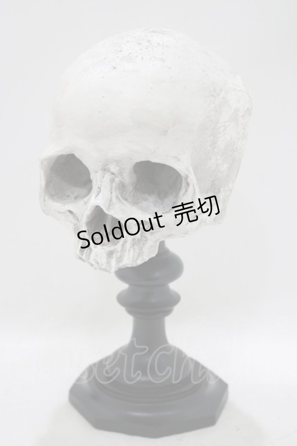 画像1: THE BLACKENED TEETH / Skull of J.Doeオーナメント   H-25-04-01-046-PU-ZA-KB-ZH (1)