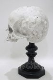 画像2: THE BLACKENED TEETH / Skull of J.Doeオーナメント   H-25-04-01-046-PU-ZA-KB-ZH (2)