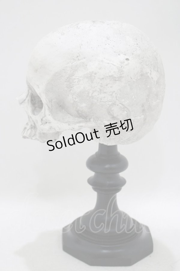 画像2: THE BLACKENED TEETH / Skull of J.Doeオーナメント   H-25-04-01-046-PU-ZA-KB-ZH (2)