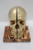 画像1: THE BLACKENED TEETH / Skull Bookends   H-25-04-01-049-PU-ZA-KB-ZH (1)