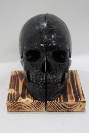 画像: THE BLACKENED TEETH / Skull Bookends   H-25-04-01-050-PU-ZA-KB-ZH
