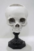 画像1: THE BLACKENED TEETH / Skull of J.Doe Plinth Pot Version   H-25-04-01-056-PU-ZA-KB-ZH (1)