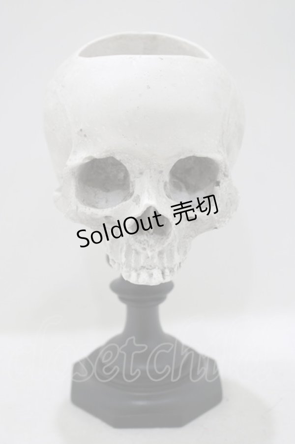 画像1: THE BLACKENED TEETH / Skull of J.Doe Plinth Pot Version   H-25-04-01-056-PU-ZA-KB-ZH (1)