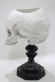 画像2: THE BLACKENED TEETH / Skull of J.Doe Plinth Pot Version   H-25-04-01-056-PU-ZA-KB-ZH (2)