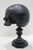 画像2: THE BLACKENED TEETH / Black Replica Plinthオーナメント   H-25-04-01-059-PU-ZA-KB-ZH (2)