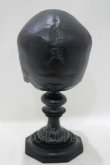 画像3: THE BLACKENED TEETH / Black Replica Plinthオーナメント   H-25-04-01-059-PU-ZA-KB-ZH (3)