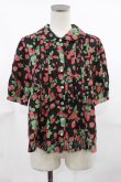 画像1: Jane Marple / Strawberry gardenブラウス  ブラック H-25-04-03-1028-JM-BL-KB-ZH (1)
