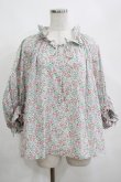 画像1: Jane Marple Dans Le Salon / Lawn Liberty Bubble Sleeve Blouse  オフ×ピンク×ブルー H-25-04-04-065-JM-BL-KB-ZH (1)